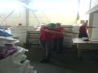 Entrevista    bender plast ltda