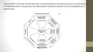 Intenta definir en lo que se tiene que fijar un entrevistador en las personas que va a entrevistar, con
la finalidad de tener a la persona más adecuada de acuerdo al puesto y a las necesidades de la
organización.
 