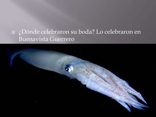    ¿Dónde celebraron su boda? Lo celebraron en
    Buenavista Guerrero
 