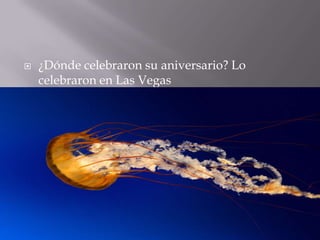    ¿Dónde celebraron su aniversario? Lo
    celebraron en Las Vegas
 