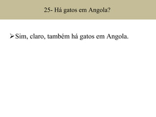 25- Há gatos em Angola?  Sim, claro, também há gatos em Angola. 