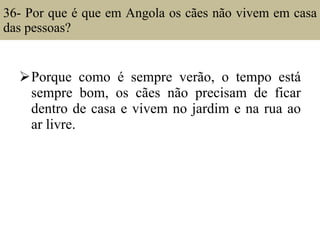 36- Por que é que em Angola os cães não vivem em casa das pessoas? Porque como é sempre verão, o tempo está sempre bom, os cães não precisam de ficar dentro de casa e vivem no jardim e na rua ao ar livre. 