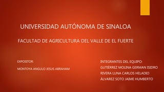 UNIVERSIDAD AUTÓNOMA DE SINALOA
FACULTAD DE AGRICULTURA DEL VALLE DE EL FUERTE
INTEGRANTES DEL EQUIPO:
GUTIÉRREZ MOLINA GERMAN ISIDRO
RIVERA LUNA CARLOS HELADIO
ÁLVAREZ SOTO JAIME HUMBERTO
EXPOSITOR:
MONTOYA ANGULO JESUS ABRAHAM
 
