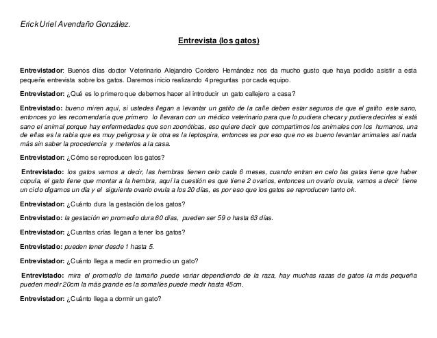 preguntas de entrevista a un doctor entrevista gatos preguntas de entrevista a un doctor entrevista gatos