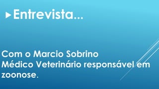 Entrevista... 
Com o Marcio Sobrino 
Médico Veterinário responsável em 
zoonose. 
 