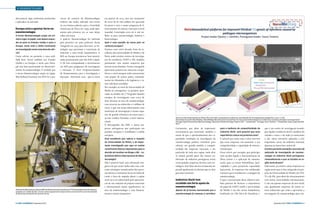 › GRANDE PLANO
descartáveis, logo, facilmente produzidos
e aplicados no mercado.
Europa está a apostar forte na
nanotecnologia
O termo Nanotecnologia surgiu em primeiro lugar no Japão, mas depois expandiu-se para os Estados Unidos e para a
Europa. Como está o Velho Continente
na investigação nesta nova área da ciência?

Como referiu, no presente, é uma realidade bem visível também nos Estados
Unidos e na Europa, e, neste caso, Portugal está bem posicionado no desenvolvimento da nanotecnologia. É verdade que
o termo Nanotecnologia surgiu no Japão.
Mas Richard Feynman nos EUA foi o pre-

cursor do conceito da Nanotecnologia,
embora não tenha utilizado este termo
na sua famosa palestra para a Sociedade
Americana de Física em 1959, onde apresentou pela primeira vez as suas ideias
sobre este tema.
A palavra Nanotecnologia foi utilizada
pela primeira vez pelo professor Norio
Taniguchi em 1974 para descrever as tecnologias que permitam a construção de
materiais a uma escala manométrica. A
I&D na Europa encontra-se bem posicionada, praticamente a par dos EUA e Japão.
A UE tem acompanhado o investimento
em I&D para programas de investigação
e inovação. O novo Programa-Quadro
de Financiamento para a Investigação e
Inovação - Horizonte 2020 - que se inicia

em janeiro de 2014 com um orçamento
de cerca de 80 mil milhões foi aprovado
há pouco e será o maior programa de financiamento de ciência e inovação a nível
mundial. Contempla cerca de 6 mil milhões só para nanotecnologia, fotónica e
biotecnologia.
Qual é essa posição do nosso país no
contexto europeu?

Estamos num nível elevado, fruto da excelência das universidades do Minho e do
Porto, onde existem centros de investigação de excelência, CENTI e INL também
juntamente com muitas empresas que
inovam neste domínio. Temos conseguido
apresentar projetos em concursos competitivos a nível europeu onde concorreram
com grupos de outros países, nomeadamente da Alemanha e da Inglaterra, e temos sido bem sucedidos.
Por exemplo, ao nível da Universidade do
Minho já conseguimos 75 projetos aprovados no âmbito do 7º Programa Quadro
europeu de investigação, com cerca de
duas dezenas na área da nanotecnologia,
com recursos na ordem dos 21 milhões de
euros, o que nos torna efetivamente uma
instituição de investigação e ensino superior de grande referência no nosso país e
já com créditos firmados a nível internacional.
O desempenho das PME e outras empresas portuguesas que participam em
projetos europeus é semelhante à média
europeia.
Essa excelência que referiu a respeito
da Universidade do Minho, e da importante investigação que aqui se realiza
constituíram fatores importantes para a
decisão de localizar em Braga o INL – Laboratório Ibérico Internacional de Nanotecnologia?

Sistema de deposição por plasma IBAD de filmes nanoestruturados por PVD (Deposição Física de Vapores)
assistido por canhão de iões. Um dos vários equipamentos disponíveis no Centro de Física da Universidade
do Minho para produção de nanoestruturas.

8 › País €conómico | Dezembro 2013

Não é possível fazer uma afirmação categórica de que assim tenha sido, mas a decisão estratégica tomada pelos dois governos ibéricos certamente levou em linha de
conta o facto de naquela altura a região
norte já se ter sobressaído pela apresentação de um conjunto de projetos nacionais
e internacionais muito significativos na
área da nanotecnologia e cujo financiamento é muito competitivo.

Sensor multicamada baseado em filmes finos de óxidos transparentes condutores para deteção de microorganismos patogénicos (p.ex. E. Coli)
Resultados do projeto NanoMediag: “NanoMeDiag-Nanobioanalytical platforms for improved medical diagnosis of infections caused by pathogen microorganisms”.
Portugal-Spain International Nanotechnology Laboratory Nanotechnology Projects Call *– Coordenador - Portugal: Vasco Teixeira*; Coordenador Spain: Josep Samitier
Marti

Certamente, que além da importante
circunstância que mencionei, também a
noção de que o aprofundamento das capacidades instaladas na investigação da
nanotecnologia poderia contribuir para
reforçar em grande medida a competitividade das empresas nacionais, e em
particular de toda esta região, onde aliás
se situam grande parte dos setores tradicionais da indústria portuguesa assim
como grandes empresas de forte cariz tecnológico. Este fator deverá certamente ter
pesado igualmente na decisão que os dois
governos tomaram.
Indústria têxtil tem
recebido um forte apoio da
nanotecnologia
Apesar de já termos mencionado que a
nanotecnologia já começou a contribuir

para a melhoria da competitividade da
indústria têxtil, será possível que essa
importância cresça nos próximos anos?

É natural que assim seja e estou convicto
que essas empresas vão aumentar a sua
competitividade e capacidade de internacionalização.
Posso referir, por exemplo, que participei
num projeto ligado a funcionalização de
fibras têxteis e a aplicação de nanomateriais para as tornar hidrofóbicas (anti-sujidade) e para possuírem capacidade
bactericida. As empresas têm colaborado
connosco pois reconhecem a vantagem da
nanotecnologia.
E para a prossecução desse objetivo também gostaria de destacar a importância
do papel do CENTI (onde a universidade
do Minho é um dos sócios fundadores),
localizado em Vila Nova de Famalicão, e

que é um centro de investigação tecnológico ligado à indústria têxtil e também do
calçado e couro, e de onde já começaram
a sair várias inovações aplicadas a este
importante sector da indústria nacional,
algumas já numa fase comercial.
Existem portanto exemplos concretos de
aplicação da investigação da nanotecnologia na indústria têxtil portuguesa,
nomeadamente a que se localiza na região norte do país?

Felizmente, já existem várias empresas na
região norte que se têm integrado em projetos da Universidade do Minho, do CENTI e do INL, para além do relacionamento
com outras universidades internacionais.
E não são apenas empresas da área têxtil,
mas igualmente empresas de outros setores industriais que estão a aproveitar a
investigação da nanotecnologia para ino-

Dezembro 2013 | País €conómico › 9

 