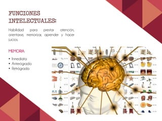 FUNCIONES
INTELECTUALES:
Habilidad para prestar atención,
orientarse, memorizar, aprender y hacer
juicios.
MEMORIA:
• Inmediata
• Anterógrada
• Retrógrada
 