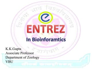 K.K.Gupta
Associate Professor
Department of Zoology
VBU