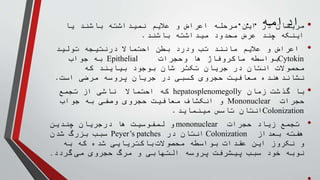 Entric Entric Fever.pptx