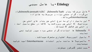 Entric Entric Fever.pptx