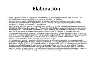 Elaboración
• Tras el tratamiento al que se somete a las habas de cacao en las zonas de recolección, estas se envían a las
distintas fábricas chocolateras. Al llegar, los granos se examinan y se clasifican.
• Lo primero que se realiza es el lavado y tostado de las habas del cacao el objetivo es aumentar el aroma y
favorecer el desprendimiento de la piel de las semillas. Un sistema de cepillado posterior permite eliminar
esas pieles y cualquier otra impureza o cuerpo extraño.
• A continuación, se realiza la torrefacción de las habas del cacao ya tostadas, un proceso importantísimo para la
calidad final del producto. En unas grandes esferas giratorias, las habas se tuestan durante unos pocos minutos a
entre 110 y 120 °C., eliminándose la humedad y la acidez, al tiempo que se favorece el desarrollo de los aromas.
Cada tipo de grano que formará parte de una determinada mezcla de chocolate se tuesta por separado.
• Después de su enfriamiento, las habas, cuyas cáscaras han comenzado a explotar por el efecto de la torrefacción,
se llevan a una máquina de descascarillar y cribar, que abre los granos tostados y separa los pellejos, ligeros, de la
parte comestible, más pesada. Las cáscaras y hollejos se reciclan como compost para jardines, o para
elaborar mantecas de baja calidad llamadas comercialmente Cocoa.
• La cocoa tiene un perfume y un sabor relativamente similar al del chocolate en polvo, pero que carece de las
características originales del chocolate hecho a base de cacao. Se consigue mayormente de manera industrializada
y es de color marrón oscuro. La cascarilla sirve para hacer bebidas todavía típicas de algunos lugares, solo se pone
a macerar un puñado de cascarilla unos minutos, luego esta se hierve con leche y se bebe caliente. Pero esta
bebida resultante carece de nutrientes y en algunas ocasiones la cascarilla suele contener cobre en cantidades
altas. Por ser muy amarga, la Cocoa es un recurso con gran rendimiento económico sobre todo para las industrias
que modifican el sabor de la Cocoa con grandes márgenes de azúcar, que por ser tan amarga necesita.
 