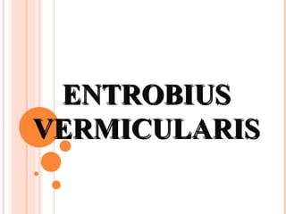 ENTROBIUS VERMICULARIS 
