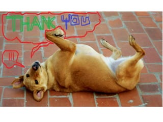 entropy-170828073801.pdf