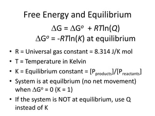 Free Energy and Equilibrium
• R = Universal gas constant = 8.314 J/K mol
• T = Temperature in Kelvin
• K = Equilibrium constant = [Pproducts]/[Preactants]
• System is at equilbrium (no net movement)
when Go = 0 (K = 1)
• If the system is NOT at equilibrium, use Q
instead of K
G = Go + RTln(Q)
Go = -RTln(K) at equilibrium
 