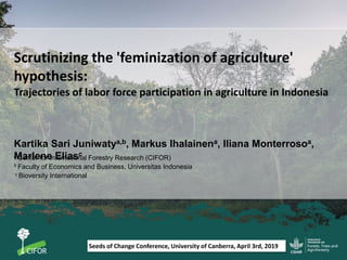 Scrutinizing the 'feminization of agriculture' hypothesis: Trajectories of labor force participation in agriculture in Indonesia