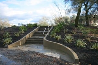 Sonoma - Entry garden steps
