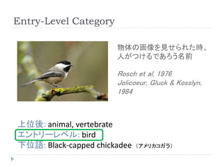 From Large Scale Image Categorization To Entry Level Categories