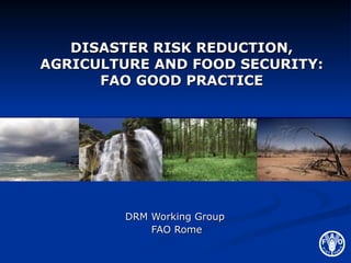 Disaster Risk Reduction in Agriculture and Food Security: FAO Good ...