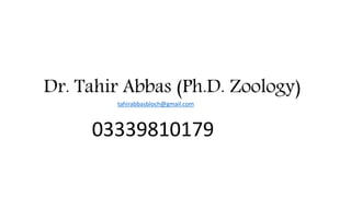 Dr. Tahir Abbas (Ph.D. Zoology)
tahirabbasbloch@gmail.com
03339810179
 