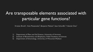 Are transposable elements associated with
particular gene functions?
Kristian Brevik1
, Ania Muszewska2
, Benjamin Pelissie3
, Sean Schoville3
, Yolanda Chen1
1) Department of Plant and Soil Science, University of Vermont
2) Institute of Biochemistry and Biophysics, Polish Academy of Sciences
3) Department of Entomology, University of Wisconsin-Madison
 
