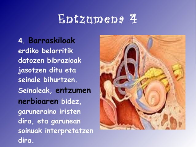 entzumena-nerea-larrabeiti-odp