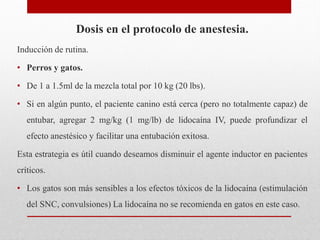 Dosis en el protocolo de anestesia.
Inducción de rutina.
• Perros y gatos.
• De 1 a 1.5ml de la mezcla total por 10 kg (20 lbs).
• Si en algún punto, el paciente canino está cerca (pero no totalmente capaz) de
entubar, agregar 2 mg/kg (1 mg/lb) de lidocaína IV, puede profundizar el
efecto anestésico y facilitar una entubación exitosa.
Esta estrategia es útil cuando deseamos disminuir el agente inductor en pacientes
críticos.
• Los gatos son más sensibles a los efectos tóxicos de la lidocaína (estimulación
del SNC, convulsiones) La lidocaína no se recomienda en gatos en este caso.
 