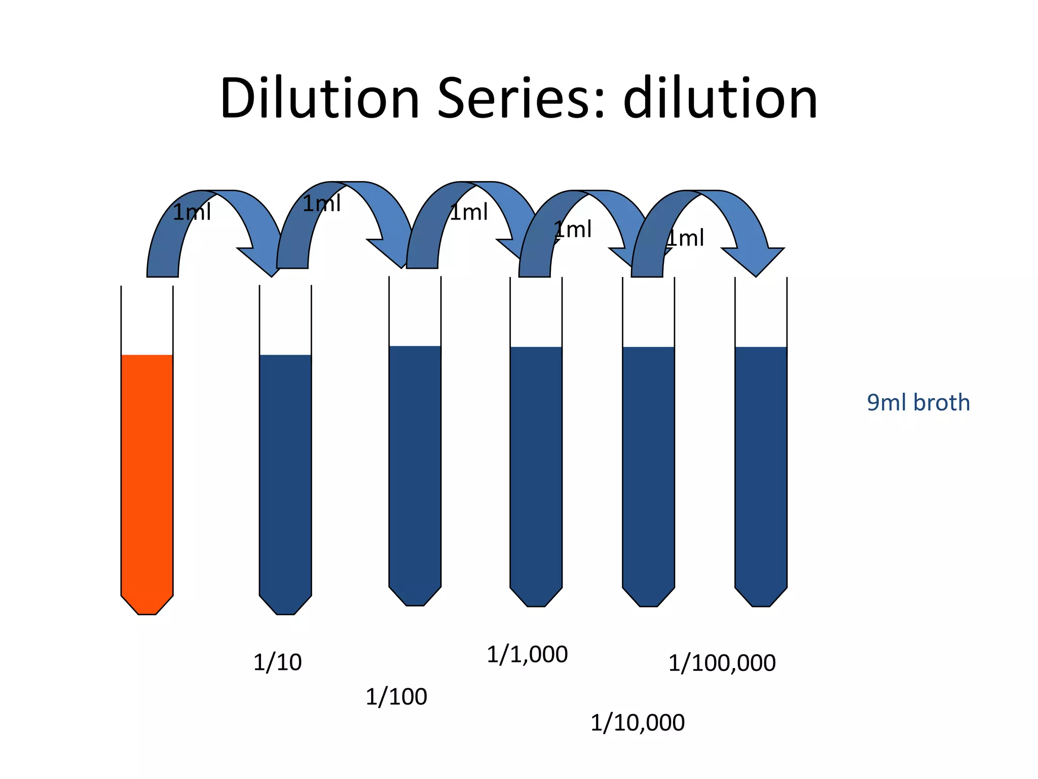 Dilution Series: dilution
9ml broth
1/10
1ml
1/100
1ml
1/1,000
1ml
1/10,000
1ml
1/100,000
1ml
 