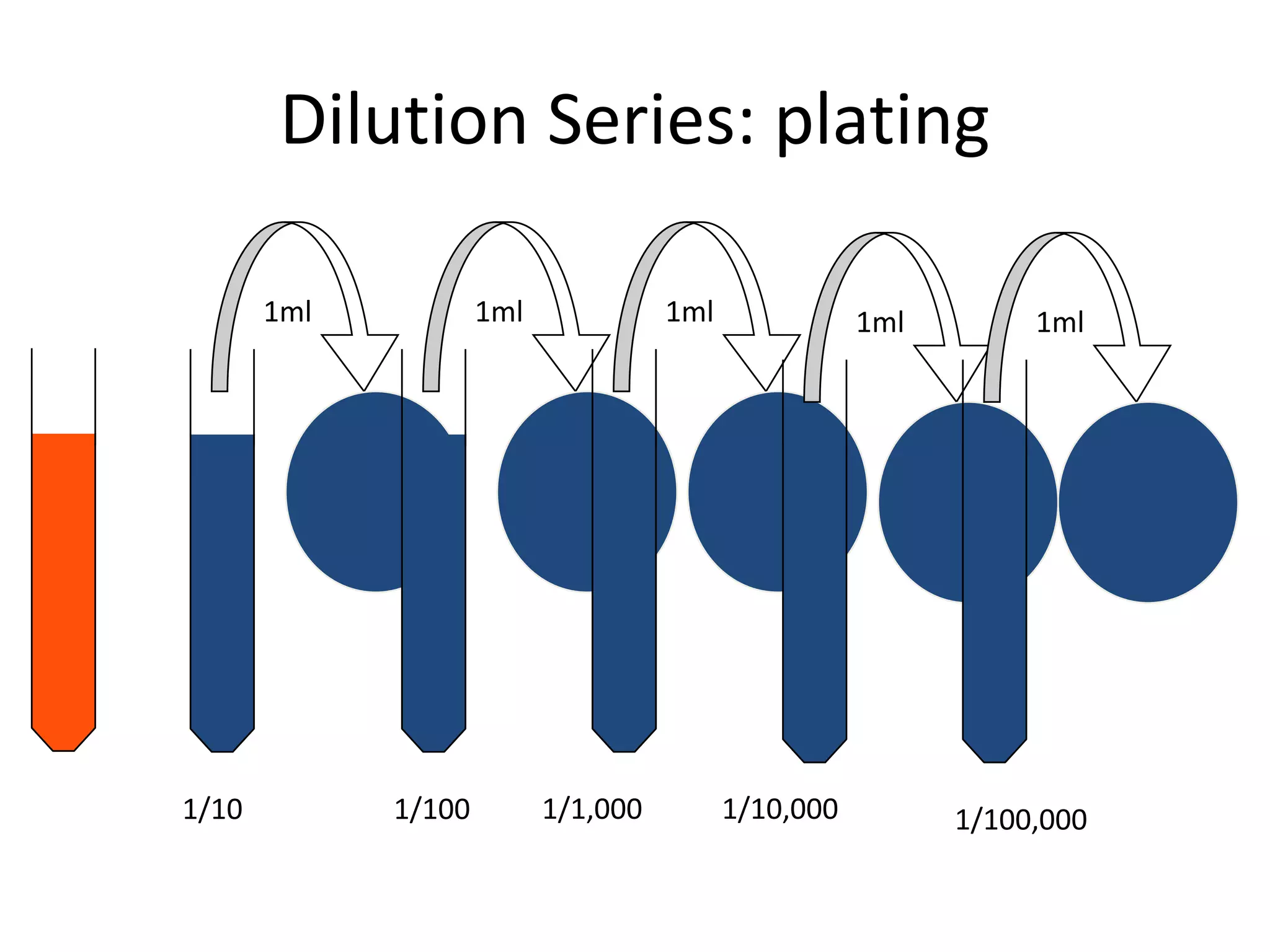 Dilution Series: plating
1/10
1ml
1/100
1ml
1/1,000
1ml
1/10,000
1ml
1/100,000
1ml
 