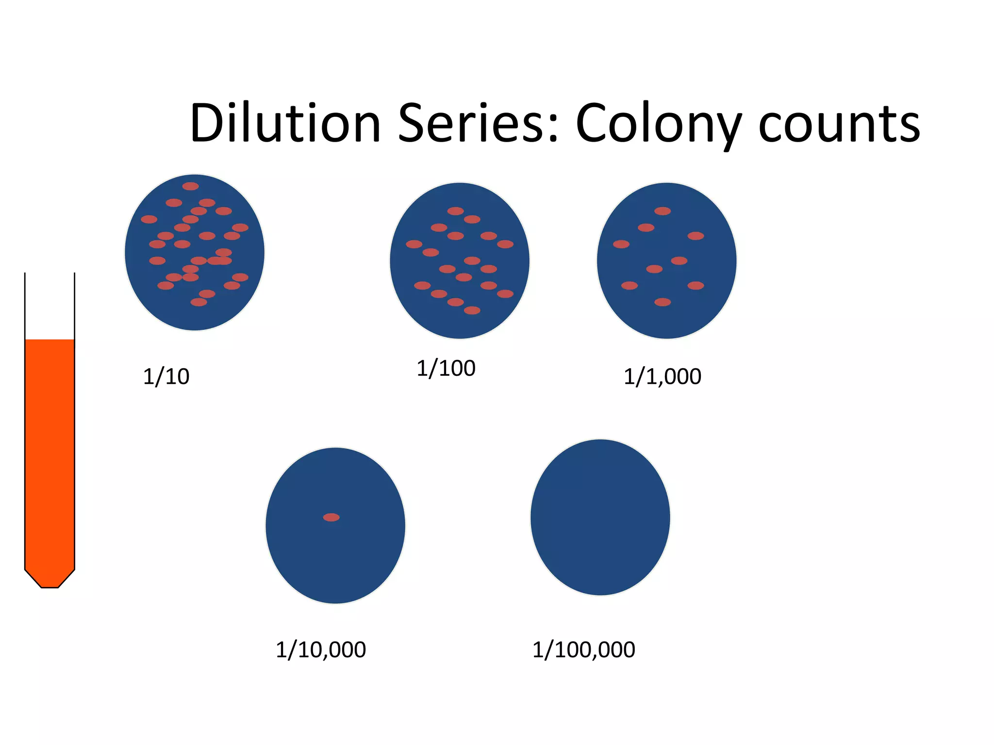 Dilution Series: Colony counts
1/100,000
1/100 1/1,0001/10
1/10,000
 