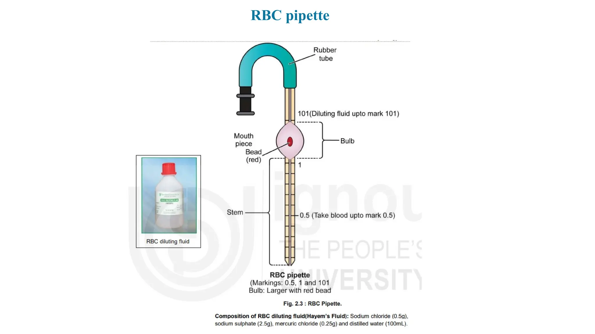 Bestsuppplement For Rbcs What Is Rbc Pipette