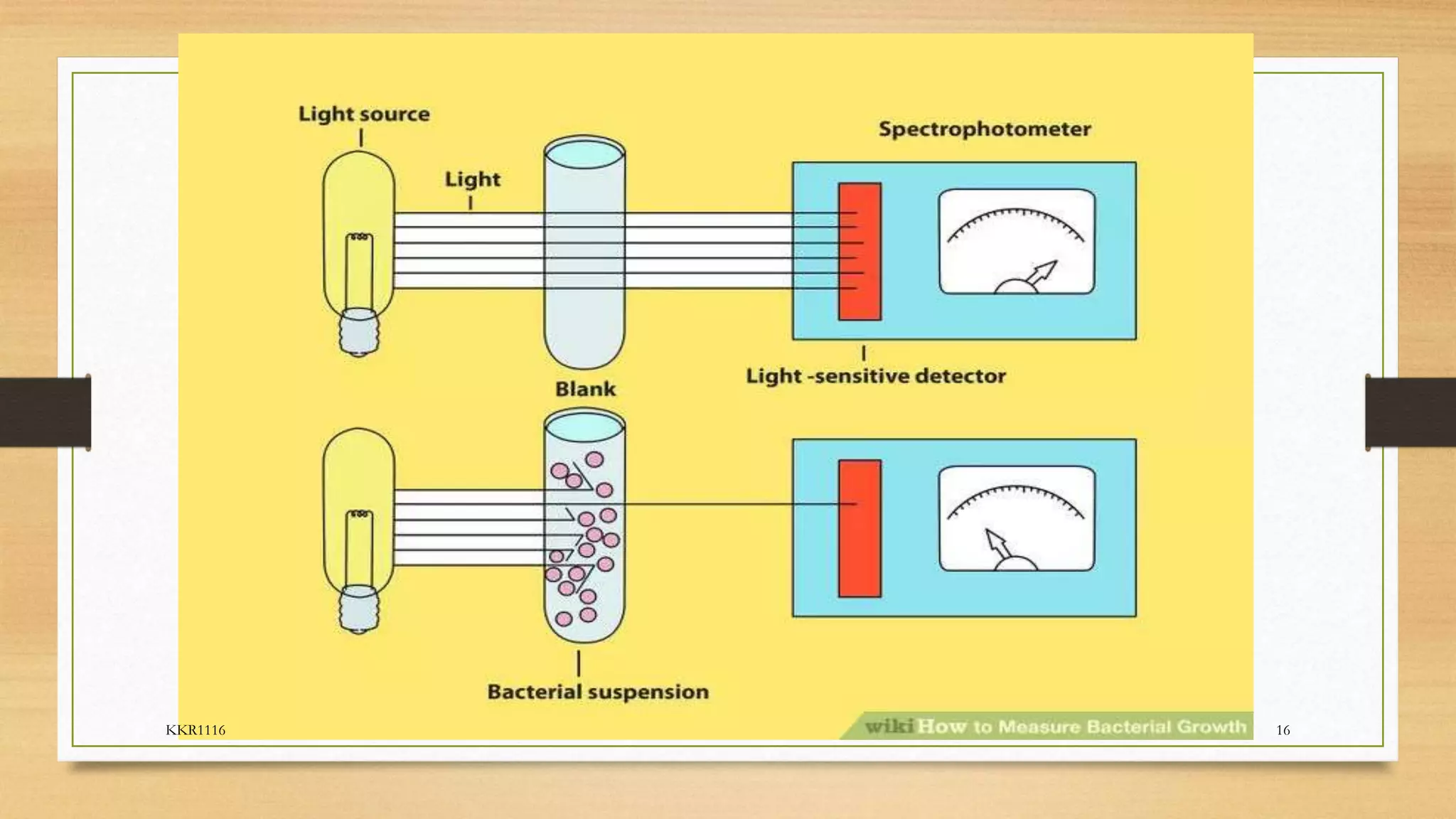 Enumeration Methods Enumeration techniques for microbes | PPTX