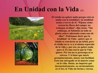 En Unidad con la Vida  (6) El retoño no quiere nada porque está en unión con la totalidad y la totalidad actúa a través de él. “Fijense cómo crecen las flores del campo: no trabajan ni hilan”, dijo Jesús. “Sin embargo, ni Salomón en toda su gloria estuvo adornado como uno de ellos”. Podríamos decir que la totalidad –la Vida-- quiere que el retoño se convierta en un árbol, pero el retoño no se ve a sí mismo separado de la vida y, por eso, no quiere nada para sí. Es uno con lo que la Vida quiere. Por eso no se preocupa ni se estresa. Y si tiene que morir prematuramente, muere con facildad. Esta tan entregado en la muerte como en la vida. Siente, no importa qué inconscientemente, su enraizamiento en el Ser, la Vida sin forma y eterna. 