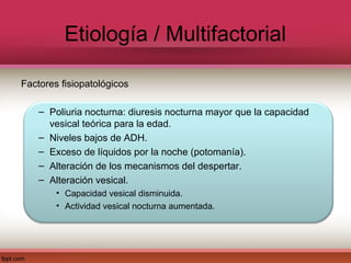Etiología / Multifactorial

Factores fisiopatológicos

    – Poliuria nocturna: diuresis nocturna mayor que la capacidad
      vesical teórica para la edad.
    – Niveles bajos de ADH.
    – Exceso de líquidos por la noche (potomanía).
    – Alteración de los mecanismos del despertar.
    – Alteración vesical.
        • Capacidad vesical disminuida.
        • Actividad vesical nocturna aumentada.
 