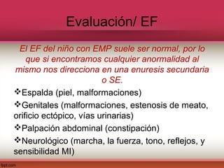 Evaluación/ EF
 El EF del niño con EMP suele ser normal, por lo
    que si encontramos cualquier anormalidad al
mismo nos direcciona en una enuresis secundaria
                         o SE.
Espalda (piel, malformaciones)
Genitales (malformaciones, estenosis de meato,
orificio ectópico, vías urinarias)
Palpación abdominal (constipación)
Neurológico (marcha, la fuerza, tono, reflejos, y
sensibilidad MI)
 