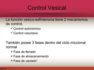 Control Vesical
La función vesico-esfinteriana tiene 2 mecanismos
de control,
   Control autonómico
   Control voluntario


También posee 3 fases dentro del ciclo miccional
normal
   Fase de llenado
   Fase de almacenamiento
   Fase de vaciado*
 