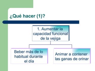 ¿Qué hacer (1)? 1. Aumentar la  capacidad funcional  de la vejiga Beber más de lo  habitual durante  el día Animar a contener  las ganas de orinar 