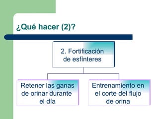 ¿Qué hacer (2)? 2. Fortificación  de esfínteres  Retener las ganas de orinar durante  el día Entrenamiento en  el corte del flujo  de orina  