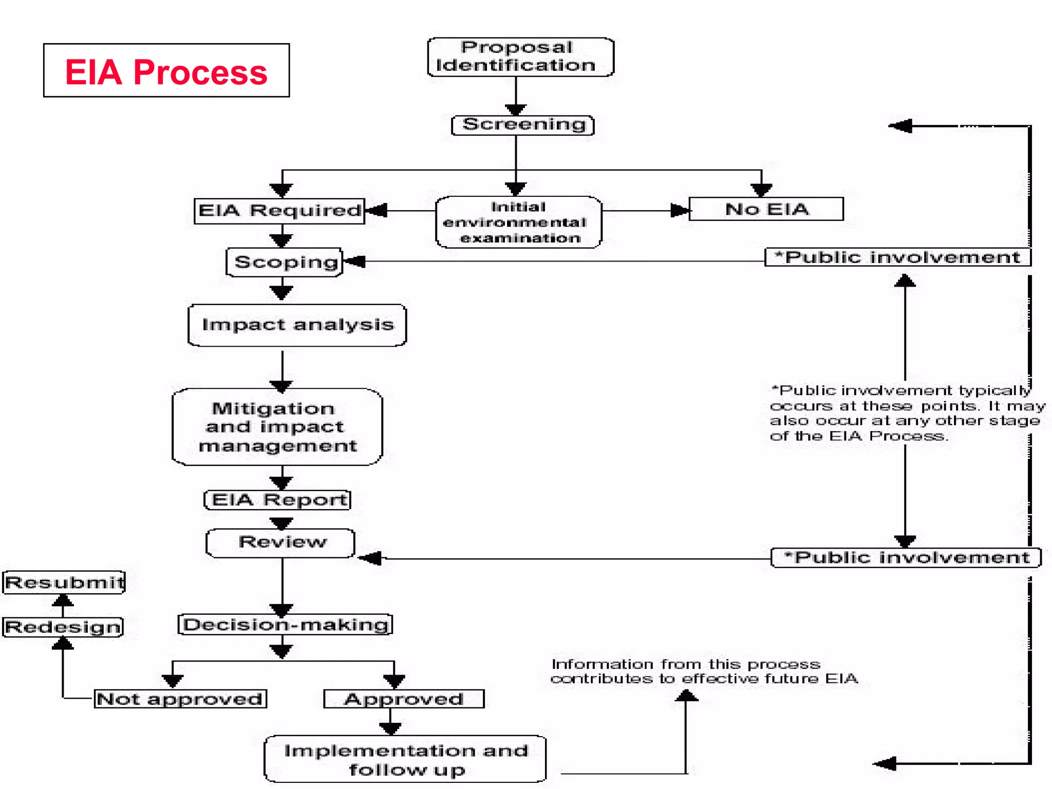 EIA Process
 