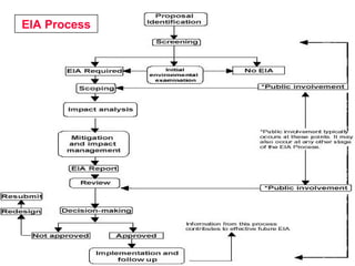 EIA Process
 