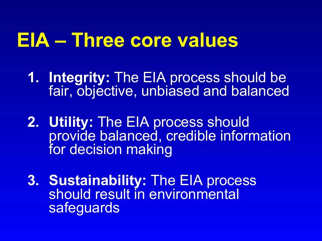 what does environmental impact assessment mean