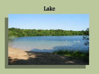 Lake 
 