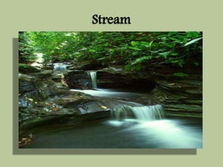 Stream 
 