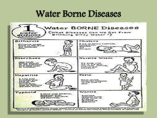 Water Borne Diseases 
 