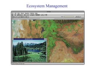 Ecosystem Management
 