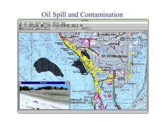 Oil Spill and Contamination
 