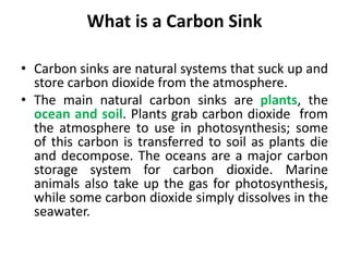 What is a Carbon Sink
• Carbon sinks are natural systems that suck up and
store carbon dioxide from the atmosphere.
• The main natural carbon sinks are plants, the
ocean and soil. Plants grab carbon dioxide from
the atmosphere to use in photosynthesis; some
of this carbon is transferred to soil as plants die
and decompose. The oceans are a major carbon
storage system for carbon dioxide. Marine
animals also take up the gas for photosynthesis,
while some carbon dioxide simply dissolves in the
seawater.
 