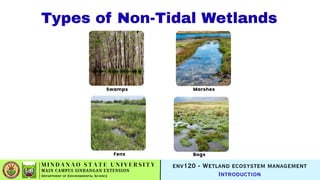 ENV020 - WETLAND ECOSYSTEMS MANAGEMENT.pdf