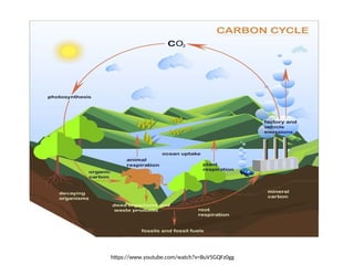ENV_107_Lecture 3_Environmental Cycle.ppt