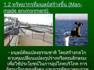 1.2 ทรัพยากรที่มนุษย์สร้างขึ้น (Man-
made environment)
• มนุษย์ดัดแปลงธรรมชาติ โดยสร้างกลไก
ควบคุมเปลี่ยนแปลงรูปร่างหรือคุณลักษณะ
เพื่อใช้ประโยชน์ในการอุปโภคบริโภค การ
 