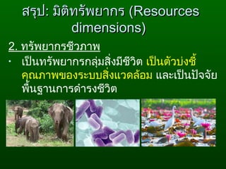 2. ทรัพยากรชีวภาพ
• เป็นทรัพยากรกลุ่มสิ่งมีชีวิต เป็นตัวบ่งชี้
คุณภาพของระบบสิ่งแวดล้อม และเป็นปัจจัย
พื้นฐานการดำารงชีวิต
สรุปสรุป:: มิติทรัพยากรมิติทรัพยากร ((ResourcesResources
dimensions)dimensions)
 